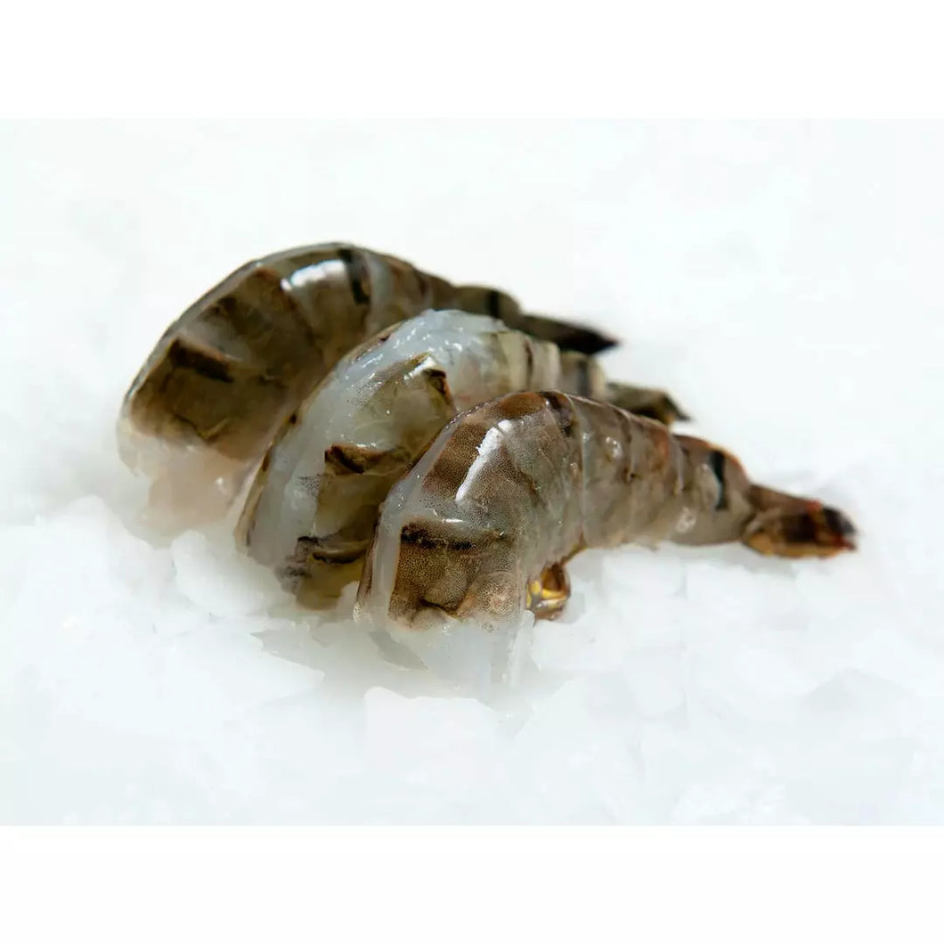 COLOSSAL TIGER SHRIMP, FROZEN, UNCOOKED