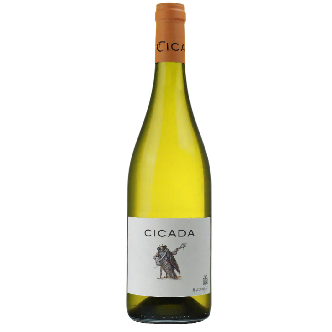 CHANTE CIGALE CICADA BLANC, FRANCE